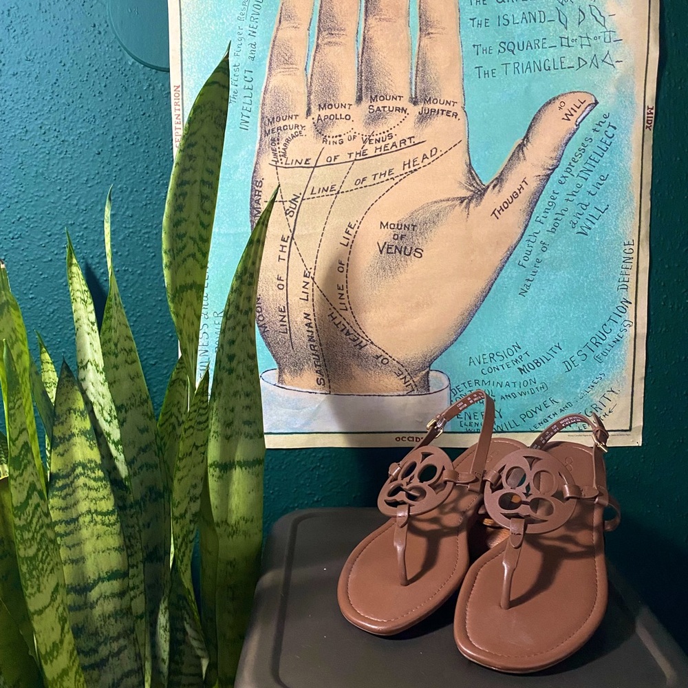 Retired Leather Brown Coach Sandals size 8